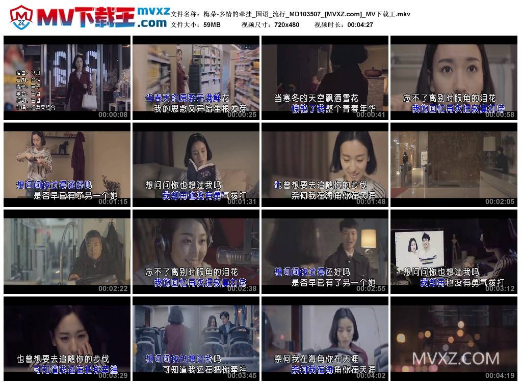 梅朵-多情的牵挂_国语_流行_MD103507